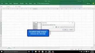 Excel-formatare conditionala