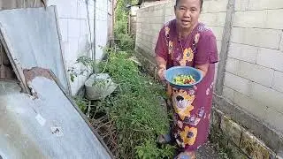 METIK LOMBOK LANJUT MASAK KANGGO SARAPAN,SAMBEL TAHU KECAP
