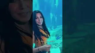 Whale shark swim 😍 #georgiaaquarium #whaleshark #aquarium #savethedolphins #savethewhales