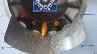 Fengxiang LXTP-3000 Automatic Carrot Brush Washing Machine Carrot Peeler#peelingmachine