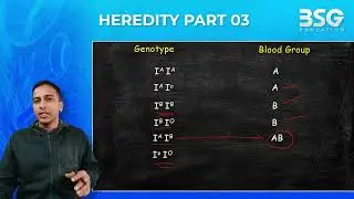 Inheritance of Blood group & Sex | Class 10 | #boards2024