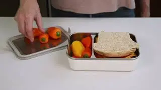 Sustainable lunchbox solutions