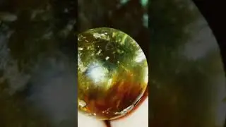 Rutilated Quartz Crystal #gems #gemstones #crystal #rutilated