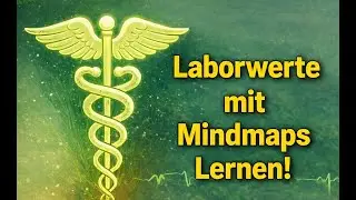 #heilpraktiker Labordiagnostik Urin werte