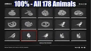 RDR2 Full Compendium 178 Animals - Red Dead Redemption 2 PS4 Pro