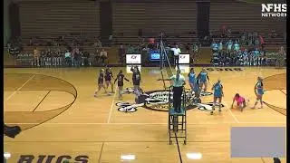 Falyn Volleyball Highlights 2025