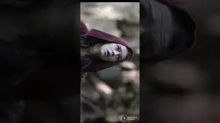 Red riding hood mix video (Forest/Dark psy)