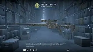 END 📦 [Day 365] Drop farming [2025] #cs2