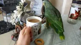 DSCF2517