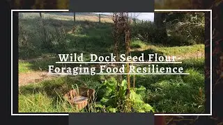 Dock Seed Flour | Foraging Food Resilience | Slow Living | Countrylife