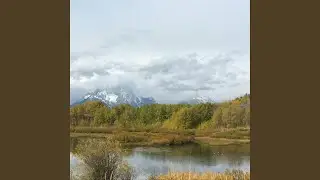 Wild in Wyoming