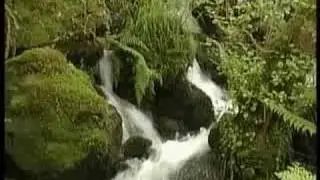 Conoce Monfero