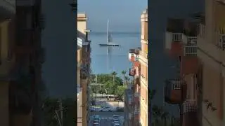 Palma's Maritime Spectacle! 🌍 EPIC Timelapse: Cruise Ships, Ferries & More! 🚢🌊