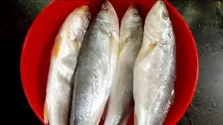 How To Clean Croaker Fish#Dhodi Meenu Clean Maduva Vidhana#Kodai Meen Clean Maduva Vidana#