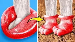 Cute DIY Shoes For Your Furry Friend ✨ 🎨 Funny Pet Gadgets & Crafts by 123 GO!