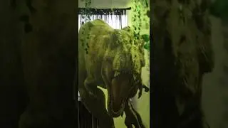 Jurassic Park Themed Party at Home | Party Ideas