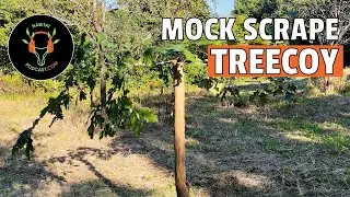 DIY Treecoy How To Make Rub Post Mock Scrape Deer Hunt Habitat Podcast Bowhunting Enhance Food Plot