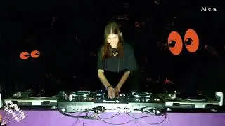 Pressure Dome | LIVE STREAM | Alicia
