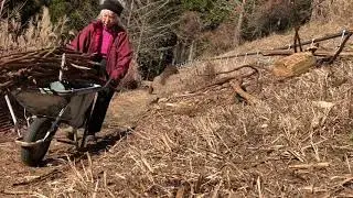 山暮らし・日々ぼちぼち #1「薪ひろい」