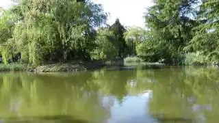 Testing recording quality of Panasonic HDC-TM700
