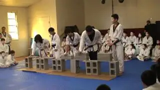 Hidden Dragon TKD- Brick Breaking.MTS