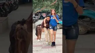 wait for end😂 #bhojapurihitsong #comedyfilms #funny #bhokpurigana #funnycomedy #comedymove