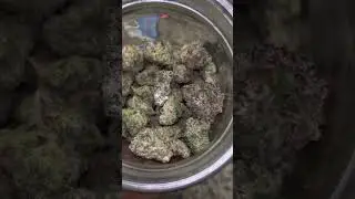 Texas Cannabis (Royal Runtz) super candy / gassy terps , Heavy flavor, Slightly Sticky , Smooth.