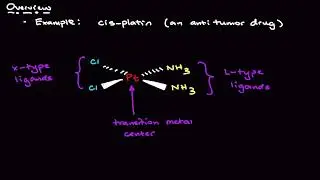 Organometallics Explained: Stille Coupling, Ligands & The 18-Electron Rule