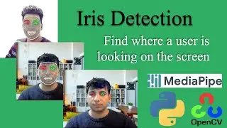 Part1. Iris tracking 🔥 How to Accurately Detect Irises in the Eye? | An Easy Guide | Mediapipe