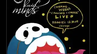 Fluid Minds - Covering Ween's 'Chocolate and Cheese' Live (2010)