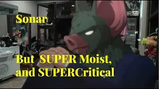 Sonar, but SUPER Moist, and SUPER Critical