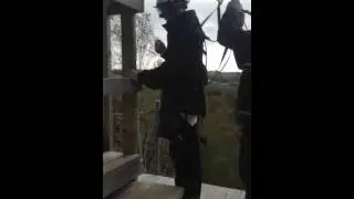 Zip wire experience
