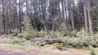Memorial Day Weekend Road Trip to Lake Almanor
