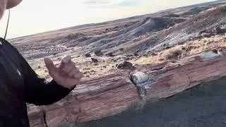 Man Camper - Petrified Forest National Park - 66.27