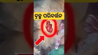 bramha paribartan ll bramha padartha of jagannath #jagannath #shorts #puri #odianews