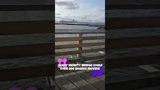 Rickety Bridge #oldbridge #oceanview