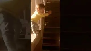 Brave dog saves little child #dog #rescue #ai #pets