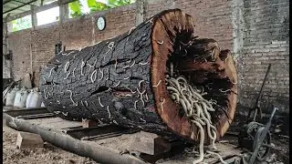 RARE BEAUTY!! Joar Wood Cut Exposes Stunning Natural Art Inside the Log