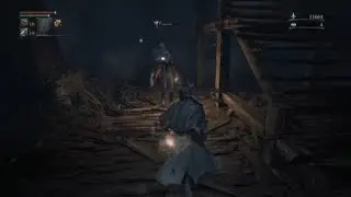Bloodborne Vermin Host Glitch