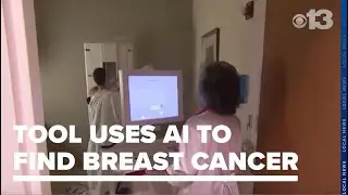 University of Maine students work on AI tool to help detect breast cancer