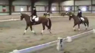 DVCTA Dressage MFS Quadrille Champion
