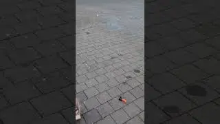 Die lautesten B&ouml;ller Deutschlands | Super B&ouml;ller 2 Funke