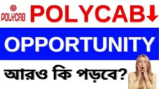 Polycab India Details Analysis | Best Time For Buy | What Should To Do
