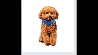 Summer Cooling Pet Collar Dog Ice Bandana Breathable Dog Cool Collar Scarf