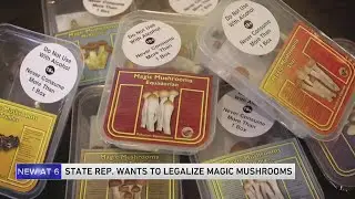 Illinois representative wants to legalize 'magic mushrooms'