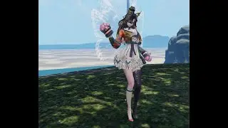 Dual Blade Master by Yami. BNS - Raid : Black Moon