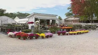 Time to protect plants ahead of first frost this weekend