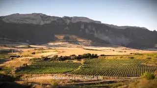 V&iacute;deo Corporativo F&eacute;lix Sol&iacute;s Avantis