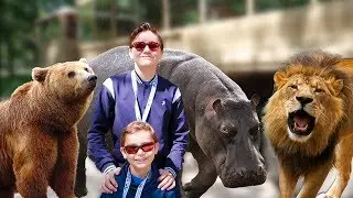 VLOG - AU MILIEU DES LIONS, OURS & HIPPOPOTAMES EN CAMION BROUSSE ! - ZooSafari de Thoiry