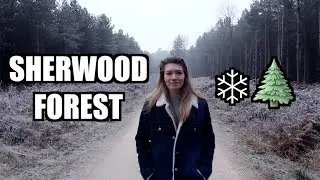 Sherwood Forest | Nottingham | Day Out